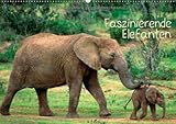 Faszinierende Elefanten (Wandkalender 2013 DIN A4 quer): Afrikas Giganten (Monatskalender, 14 Seiten) by 