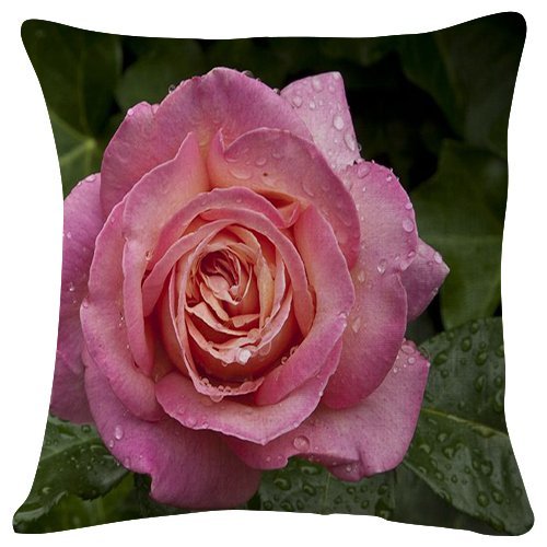 Bedding Home Kitchen Lilla Kuddis Pk2 Pillow Cases For Moses