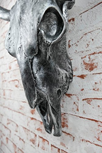 XXL Deko Bullenschädel silber Stierkopf Figur Skullptur Wandfigur 65 cm Geweih Stier Hörner Bulle - 3