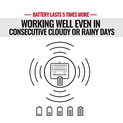 Aspectek Predator Eye Pro Night and Day Solar Animal Repeller 2 Pack