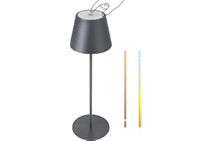 FUYO - Lampada da tavolo senza fili, dimmerabile, luce bianca calda, 2700K-4000K, touch, LED, impermeabile IP54, per tavolo da pranzo, camera da letto, campeggio, balcone, hotel, 598, grigio