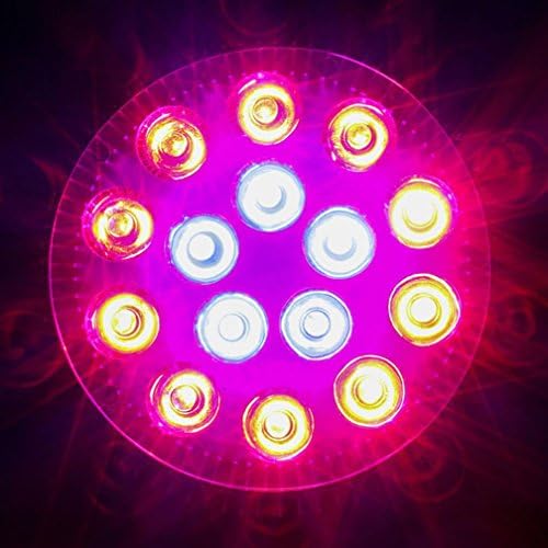 Plant Light Led 15W Nursery Greenhouses Fill Light Light Indoor Potted Plants Plant Grow Light