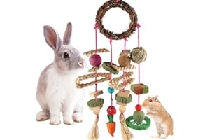 YIXUND Kauspielzeug für Häschen, Kaninchenspielzeug für die Zähne, Timothy-Gras-Spielzeug für Meerschweinchen, Hamster, Chinchillas, Ratten und andere Nagetier-Spielzeugsets