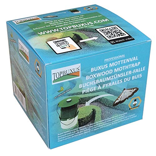 TOPBUXUS - Trampa para encendedores de bojes, Color Verde