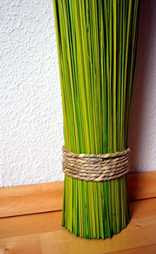 Gräser Grasbündel grün Deko Zweige Gesteck für Vasen Trockengesteck Deko ca. 100cm - 3