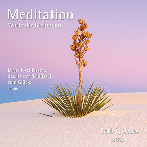 Meditation 2020 - Broschürenkalender - Wandkalender - mit herausnehmbarem Poster und Zitaten - Format 30 x 30 cm: Worte der Besinnung