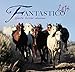 Fantastico 2014: Pferde - Horses - Chevaux by 
