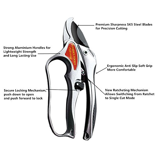 Gartenschere Ratchet Secateurs Primus Qualität Blades Landwirtschaftliche Heavy Duty Ergonomische Garten Hand Pruners Baumscheren - 2
