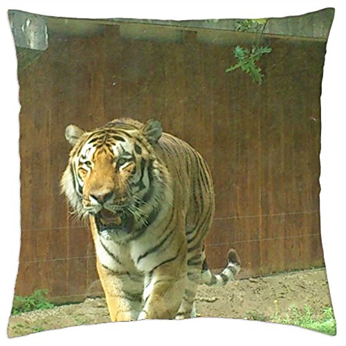 Preisvergleich Produktbild Tiger Beat - Throw Pillow Cover Case (18