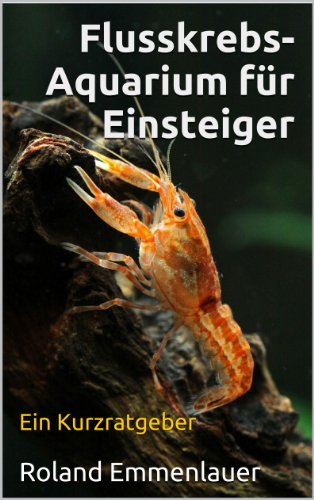 Flusskrebs-Aquarium für Einsteiger