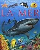 Les animaux de la mer pour les faire connaître aux enfants