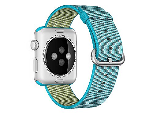 Preisvergleich Produktbild APPLE 42mm Scuba Blue Nylon Band