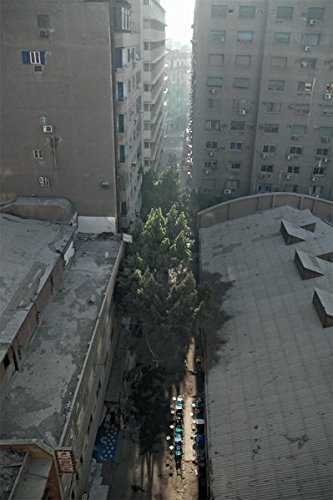 Preisvergleich Produktbild Kairo: Frühstücksgasse, Nachtkaffee, Cinéma Odeon