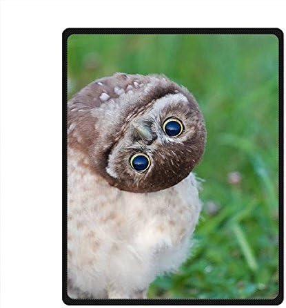 DOUBEE Custom Soft Warm Owl 100% Fleece Picnic Festival Blanket 40" x 50"