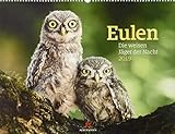 eulen kalender 2018 weingarten  Eulen - weise Jäger der Nacht 2019, Wandkalender im Querformat (54x42 cm) - Tierkalender / Vogelkalender mit Monatskalendarium