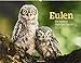 Eulen - weise Jäger der Nacht 2019, Wandkalender im Querformat (54x42 cm) - Tierkalender / Vogelkalender mit Monatskalendarium by 