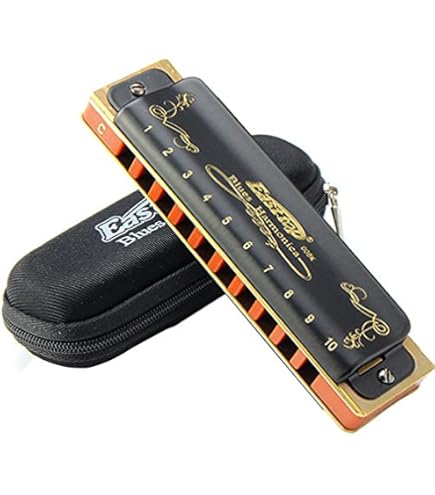 管楽器・吹奏楽器 Hohner Double Puck Harmonica Hohner Harmonica Double Puck C/G M55333 : Amazon.in: Musical