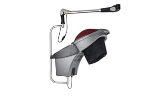 Hair Salon Micro Mist Hair Scalp Treatment Dye Perm Hair Professional O3 Ozone Hair Steamer Red Blue Lights Wall Mounted Type Elitzia ET1409B (Wall Mounted, Black)