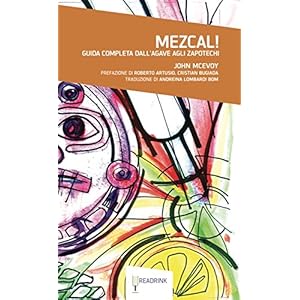 Mezcal! Guida completa dall'Agave agli Zapotechi