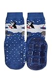 Weri Spezials ABS Terry Socks, Blue, "Penguin and Walrus".