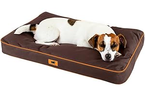 Ferplast Cuccia Ortopedica per Cani Media Materassino per Cani Impermeabile e Antigraffio Cuccia Morbida Polo, 80 x 50 x h 8 CM, MARRONE