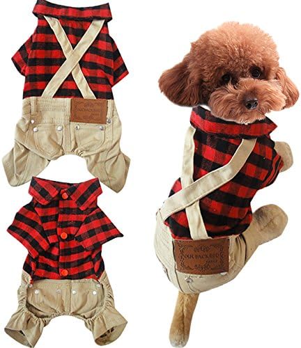 Small Dog Clothing Spring And Summer British Style Windmill Lattice Belt Pants LNAG , s