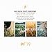PF 79 Full Face Mask Facial Sheet Masks for Oily & Dry Skin - Moisturizing Hydrating Mask Reduce Pores After Sun Repair,Pack of 12