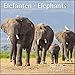 Elefanten Elephants 2019 - Broschürenkalender - Wandkalender - mit herausnehmbarem Poster - Format 30 x 30 cm by 