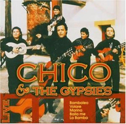 Book's Cover ofAnd The Gypsies