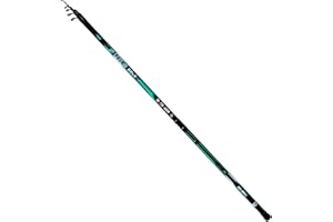 PESCAPLANET Canna da pesca Bolognese EVO PURE 4 mt Anellata SIC