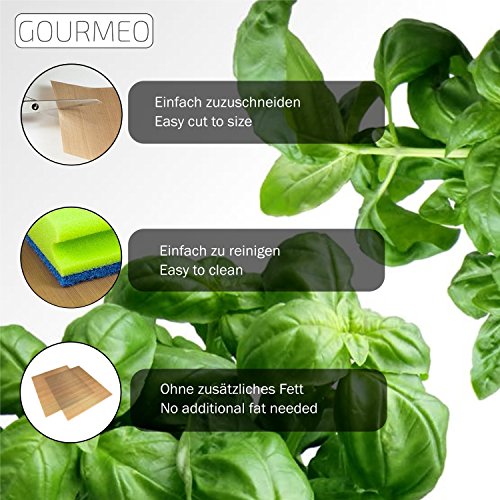 GOURMEO Dauerbackfolie (2er Set, 36 x 42 cm), einfach zuzuschneiden, spülmaschinenfest, umweltschonend | 2 Jahre Zufriedenheitsgarantie | Dauerbackfolie, Backpapier wiederverwendbar - 2