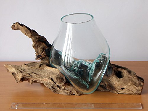 Geschenk Deko Gamal Wurzelholz Glasvase Ø Glas 15-16 cm Wurzel Holz Teakholz Vase Glas M - 3