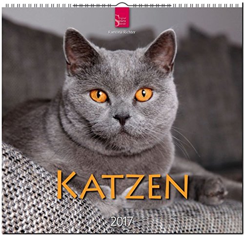KATZEN - Original Stürtz-Kalender 2017 - Mittelformat-Kalender 33 x 31 cm
