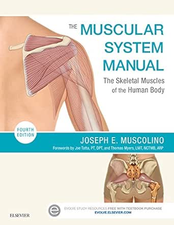 The Muscular System Manual The Skeletal Muscles Of The Human Body English Edition Ebook Muscolino Joseph E Amazon De Kindle Shop