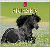 Friesen 2014: Original Stürtz-Kalender - Mittelformat-Kalender 33 x 31 cm [Spiralbindung] by 