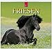 Friesen 2014: Original Stürtz-Kalender - Mittelformat-Kalender 33 x 31 cm [Spiralbindung] by 