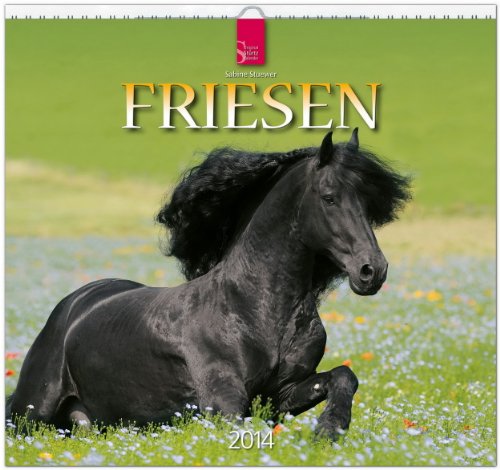 Friesen 2014: Original Stürtz-Kalender - Mittelformat-Kalender 33 x 31 cm [Spiralbindung]