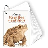 F&iacute;jate: reptiles y anfibios: Peque&ntilde;a gu&iacute;a para iniciarse en la observaci&oacute;n de la naturaleza.