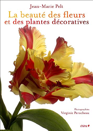 Télécharger La beauté des fleurs et des plantes décoratives PDF