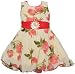 MPC Cute Fashion Baby Girls Princess Sifon Print Party Wear Frock Dress(Gulab_Sifon_Red_18_Red_6-12 Months) RS.525.00