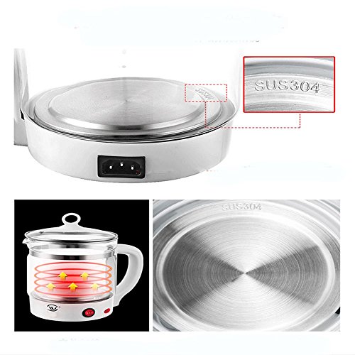 Kettle Electric Fully automatic Thickening glass Multifunction Flower teapot
