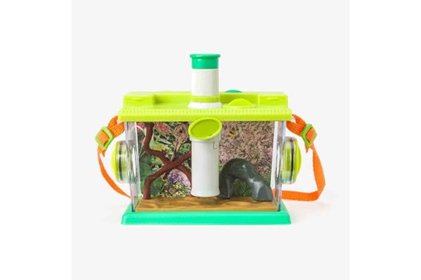 oxybul | Maison des Insectes 8-12 Ans