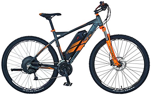 REX E-Bike Alu-MTB Twentyniner 29" BERGSTEIGER 7.8