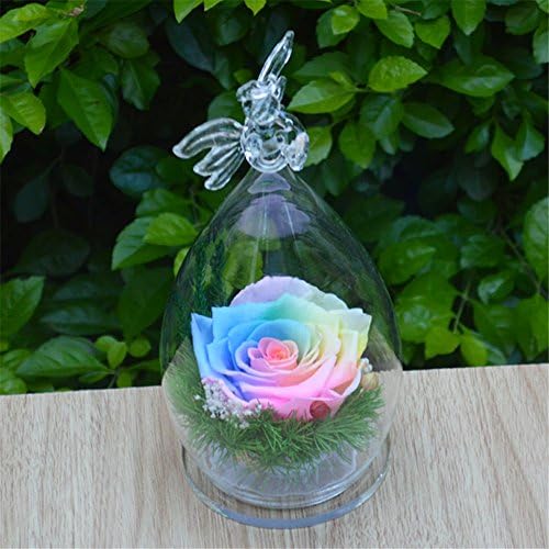 Preserved Fresh Eternal Flower Never Withered Last a lifetime Glass cover Glass Box Perfect Gift for anniversaries,Valentine 's Day,Mother's Day,birthdays or Christmas,F-Angel Bottle
