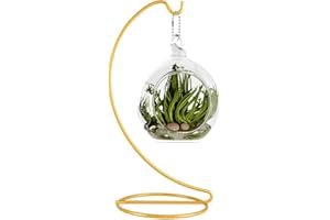 Fosinz Espositore ornamentale da 22,9 cm, in ferro, da appendere, per appendere globo di vetro, terrario per piante d'aria, terrario per Natale, matrimonio, casa, ufficio, giardino (oro)