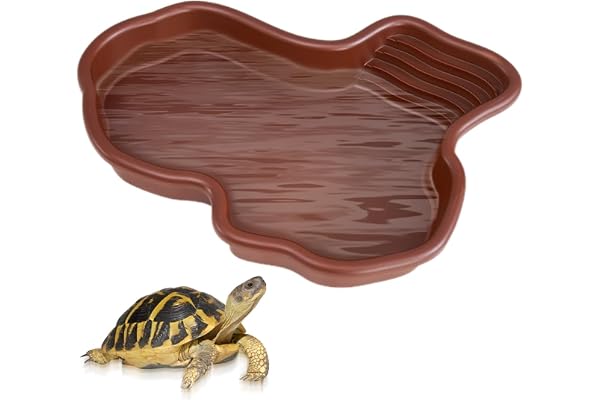 BNGXR Gamelle Reptile,Reptile Growth Accessoire Terrarium,Grand Bol d'eau pour Reptiles,Bol de Nourriture pour Reptiles,bac de Bain pour Nourriture et Eau,pour Animaux de Compagnie,Tortue,lézard
