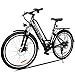 Produktbild Electric Bicycle Mens Mountain Bike with 36V Lithium-lon Battery, 250W Power Hiriyt