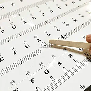 PalaP Piano Keyboard Removable Stickers Black & White - Fits for 25, 32, 49, 61, 76 or 88 Keys