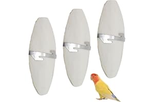 PHCOZY 3 PCS Osso di Seppia,Osso di Seppia per Pappagalli,Osso di Seppia per Tartarughe,Osso di Seppia per Uccelli,Osso di Seppia Naturale,con 3 Supporti in Metallo 11-13cm