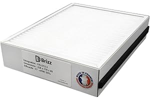 Brizz – Filtro compatible purificador de aire ALDES InspirAir Home SC370 – tipo de filtración: partículas finas